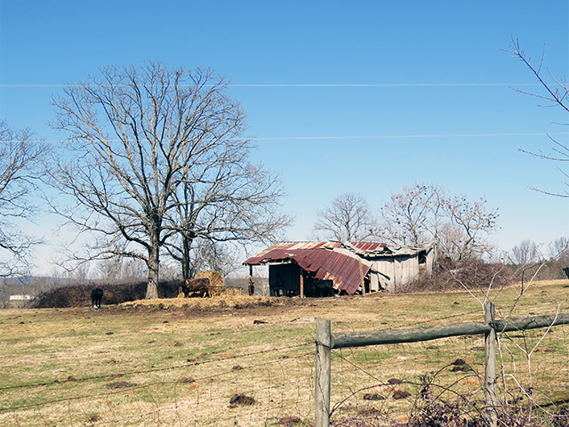 Cleveland County Barn Photo by Ventures Birding